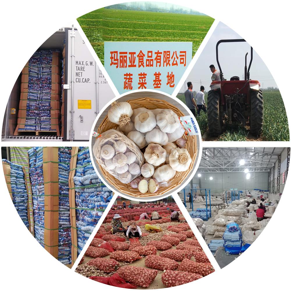 جریان نمودار سیر photo1